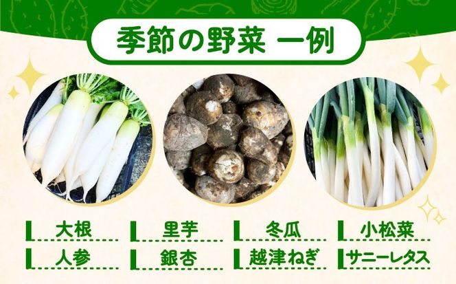 野菜 季節の旬の野菜おまかせBOX 農家直送 野菜 詰め合わせ 愛西市 / 平野農園[AEDO001]