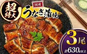 国産 うなぎ 蒲焼 3尾（計630g以上）人気 鰻 ウナギ おすすめ 高級 グルメ 鰻楽 ギフト 贈答品 小分け 真空 パック 送料無料