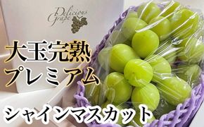 【令和8年発送・先行予約】大玉 特選 シャインマスカット 800g（ぶどう ブドウ シャインマスカット シャイン マスカット フルーツ 果物 くだもの 旬 先行受付 2026 産地直送 限定）