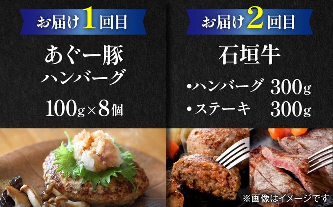 【全6回定期便】家族で満喫！沖縄のお肉贅沢セット【沖縄市】ハンバーグ あぐー 石垣牛 ステーキ 焼肉 冷凍 ギフト お取り寄せ 沖縄市 / お肉屋本店 / 豚々茶舗 / TESIO / 肉のサブロー[BCZZ034]