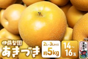 【先行受付】 男鹿梨 あきづき 梨 約5kg 「伊藤梨園」 2L～3L 14玉～16玉 秋田県 男鹿市|23_itn-030501