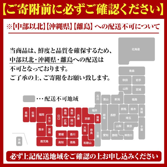 ＜先行予約受付中！2026年9月上旬以降順次発送予定＞期間・数量限定！鹿児島県産 伊勢海老(3尾・計1.0～1.2kg) 国産 鹿児島県産 海老 えび エビ 伊勢海老 刺身 海鮮 海の幸 海産物【福美丸水産】akn033-23