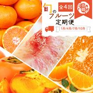 〈定期便〉【1・4・7・10月 全4回】紀州和歌山産旬のフルーツセット(みかん・清見・桃・柿)