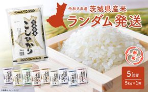 【新米/白米】<令和8年10月内発送>米 ランダム 5kg 令和8年産 茨城県産 米 精米 小分け 2026年産 国産 人気 K2464