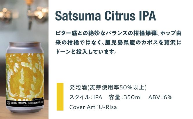 【7営業日以内に発送】＜選べる＞鹿児島市生まれのご当地クラフトビール 3本セット or 6本セット　K203-001