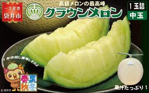クラウンメロン（白等級）中玉　1玉入 果物類 メロン青肉 