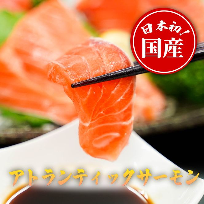 yÉxSRz1B6y{FS{Bzu tWTNT[ vy  E①z800