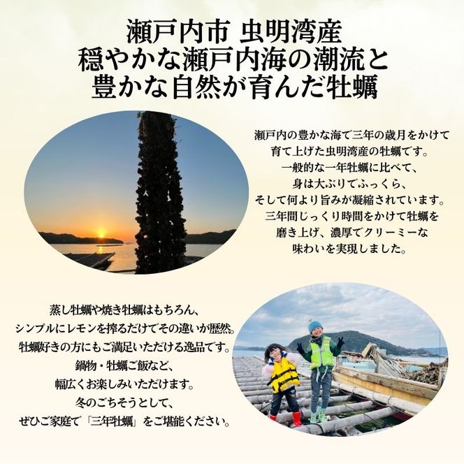 殻付き牡蠣 約5～6kg前後 半缶 【数量限定】2026年先行予約 加熱用