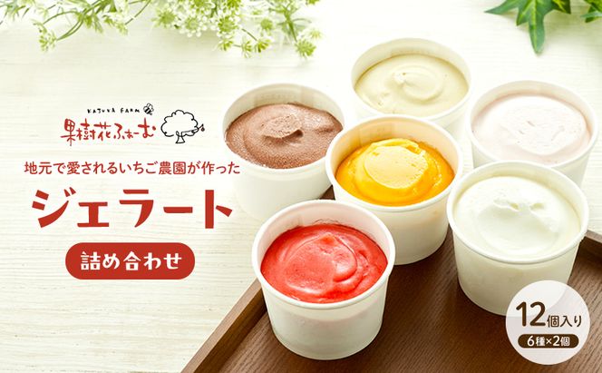 ジェラート 12個 12種 詰め合わせ アイス アイスクリーム スイーツ お菓子 菓子 おやつ 兵庫県 加西市