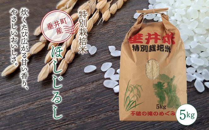 AL-8 特別栽培米 垂井町産 ほしじるし 5kg