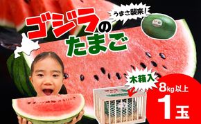 北海道 大玉 スイカ ゴジラのたまご 木箱入り 1玉 約8kg 2026年7月初旬より順次出荷 すいか 西瓜 果物 フルーツ 旬 希少 貴重 甘い ユニーク 国産 産地直送 ギフト 贈答品 お取り寄せ エーコープつきがた