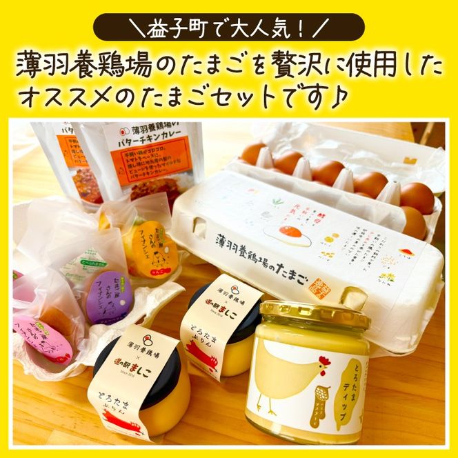＼薄羽養鶏場の濃厚たまごを使用／ たまごセット 濃厚たまご＆絶品加工品 6点セット｜栃木県 益子町 たまご 卵 タマゴ 平飼い 酵母平飼い 人気 濃厚 食べチョク カレー チキンカレー プリン とろたまぷりん フィナンシェ 焼き菓子 ディップソース (BC009)