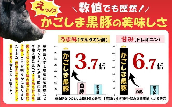 ＜容量選べる！＞鹿児島黒豚切り落としミンチセット 500g～3kg　K025-014