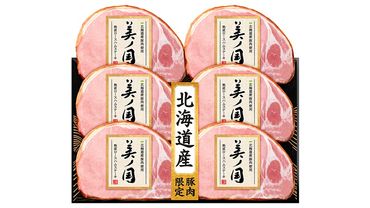 日本ハム 美ノ国 ギフトセットA 肉 にく 贈答 ギフト 詰め合わせ ハム 生ハム ロース ステーキ [AA073ci]