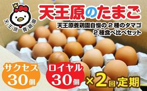 【定期便】2回定期【天王原のたまご】 サクセス卵30個/ロイヤル卵30個 【2回定期便 セット たまご 卵 玉子 タマゴ 濃厚 食べ比べ ハリ 弾力 ボリューム 甘味 旨味 卵黄 風味 生 コク 甘味 卵かけご飯 卵焼き 目玉焼き オムレツ 茶碗蒸し お菓子作り パンの材料】