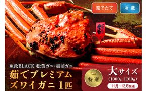 【蟹の匠 魚政】茹で　プレミアムズワイガニ 魚政BLACK（松葉ガニ・越前ガニ）特撰 大サイズ（1000～1100g） 1匹(11月～12月発送)　UO01298