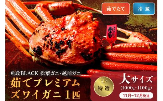 【蟹の匠 魚政】茹で　プレミアムズワイガニ 魚政BLACK（松葉ガニ・越前ガニ）特撰 大サイズ（1000～1100g） 1匹(11月～12月発送)　UO01298