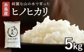 【令和7年産】糸島産 ヒノヒカリ 5kg 糸島市 / 糸島王丸農園 ( 谷口汰一 )【いとしまごころ】[AAZ010]