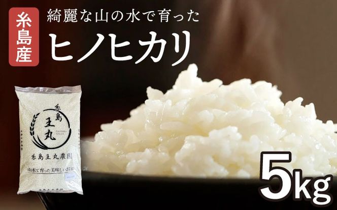 【令和7年産】糸島産 ヒノヒカリ 5kg 糸島市 / 糸島王丸農園 ( 谷口汰一 )【いとしまごころ】[AAZ010]