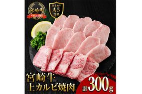 新鮮チルド便 宮崎牛 A5 上カルビ(300g) 焼肉 カルビ 焼肉 和牛 BBQ アウトドア キャンプ 小分け パック 真空パック ブランド牛 ランク パーティー ご褒美 おかず【OT-01】【KNOT合同会社】