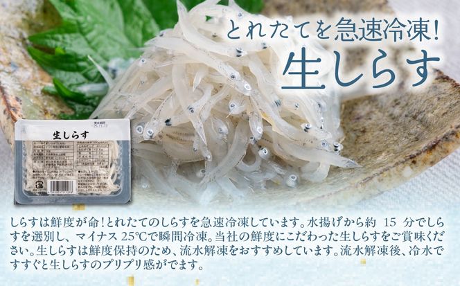 【網元直送】釜あげ・生しらすセット IKTB031
