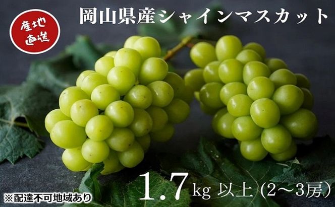 厳選 シャインマスカット 2～3房 合計1.7kg以上 産地直送 朝採れ ぶどう 葡萄 Kawahara Green Farm 岡山県産 2026年 果物 フルーツ 果汁たっぷり ジューシー 種なし 