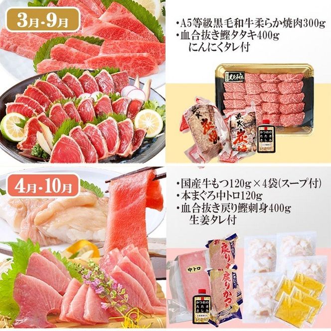 定期便(6回)枕崎お楽しみ便(黒毛和牛・まぐろ・かつおetc) GG-0046 【1166768】