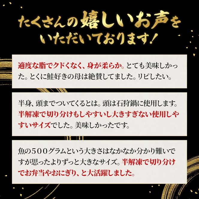 北海道産 時鮭 半身 500g～550g 鮭 さけ シャケ 魚 甘塩 冷凍 半身加工 旬 