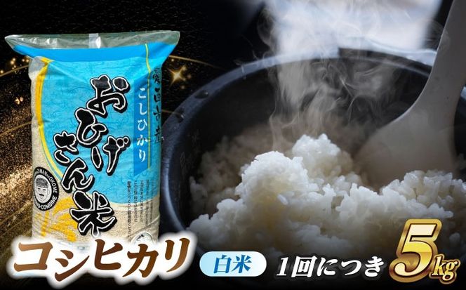 【6回定期便】コシヒカリ 白米 5kg×6か月 / 脇野コンバイン[AECP025]