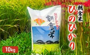 米 10kg 朝倉米 ひのひかり こめ コメ お米 白米 