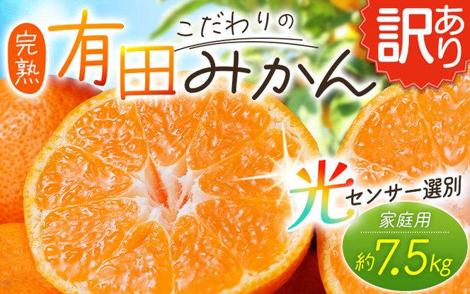 【訳あり】農家直送 有田みかん 約7.5kg ご家庭用 サイズ混合 ※2026年11月中旬～2027年1月より順次発送予定（お届け日指定不可）※北海道・沖縄・離島への配送不可 訳ありみかん みかん ミカン 蜜柑 柑橘 フルーツ 果物 くだもの 温州みかんサイズ混合 訳ありみかん 温州みかん 有機質肥料100% ふるさと納税 柑橘 有田 産地直送【nuk157F】