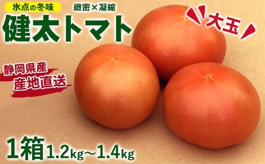 【先行受付】氷点の冬味 健太トマト 約1.2kg～1.4kg×1箱 ｜ 大玉トマト トマト とまと 甘い 野菜 やさい リコピン ヘルシー 新鮮 産地直送 ※2024年11月中旬頃～12月下旬頃に順次発送予定