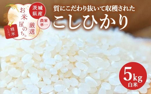 お米屋が厳選した 農家単一の茨城県産 こしひかり 5kg ※離島への配送不可 ※2026年1月下旬～8月下旬頃に順次発送予定