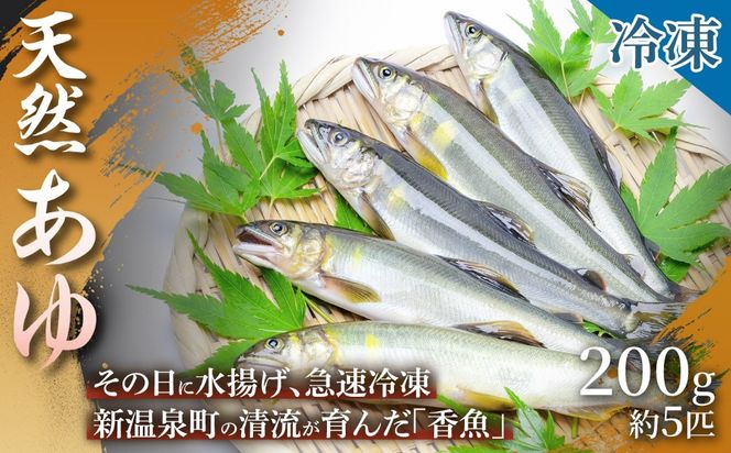 【旬の天然あゆをお届け】天然あゆ（200g 約5匹） 1箱 鮎 あゆ 天然あゆ 香魚 鮮度 清流育ち 夏の味覚 BBQ 産地直送 ギフト 手土産 贈答用 贈り物 浜坂産 兵庫県