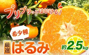 厳選 はるみ 2.5kg+250g（傷み補償分） 池田鹿蔵農園 日高町《2月上旬-3月末頃出荷》和歌山県 日高町 はるみ みかん 柑橘 フルーツ デコポンの姉妹品種 光センサー選別【配送不可地域あり】---wsh_idn325_2j3m_25_12000_2500g---