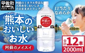 熊本のおいしいお水 阿蘇のメイスイ 2L×12本（2ケース）（共通返礼品・御船町） - 天然水 水 飲料水 ミネラルウォーター 箱買い まとめ買い ペットボトル 飲料 ウォーター 軟水 防災グッズ 防災 備蓄 ローリングストック ストック 熊本県