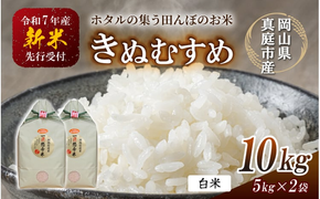 令和7年産 真庭市産 きぬむすめ 白米 10kg / お米 国産 岡山県 米 人気 ブランド 2025年産 【tkns006-01-cho】