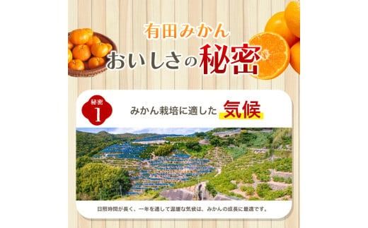 【訳あり】農家直送 有田みかん 約5kg ご家庭用 サイズ混合 ※11月中旬から1月中旬までに順次発送予定 （お届け日指定不可）※北海道・沖縄・離島への配送不可　訳ありみかん 温州みかんイズ混合 訳ありみかん 温州みかん 有機質肥料100% ふるさと納税 柑橘 有田 産地直送【nuk161E】