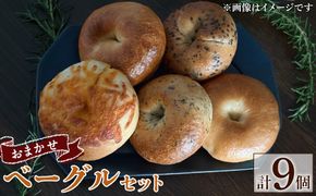 a1098 おまかせベーグルセット(計9個)【bagel cafe sonnet】姶良市 パン ベーグル 冷凍パン 詰め合わせ 個包装 冷凍