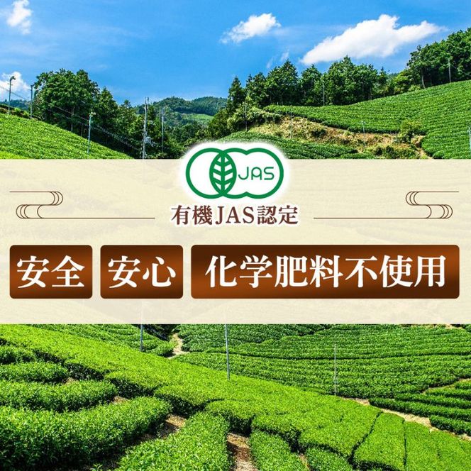宇治・有機焙じ茶ティーバッグタイプ 3g×40個入×5缶〈有機 オーガニック 無農薬 お茶 ほうじ茶 焙じ茶 ティーバッグ ティーパック宇治 飲料 日本茶 加工食品 リラックス 茶缶〉