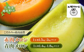 【2026年夏発送】北海道 富良野産 赤肉・青肉メロンセット 2玉（赤肉1玉・青肉1玉） 計2.8kg以上 ふらの メロン ギフト 果物 赤玉 青玉(榎本農園) メロン フルーツ 果物 新鮮 甘い 贈り物 ギフト 道産 ジューシー おやつ ふらの ブランド 夏