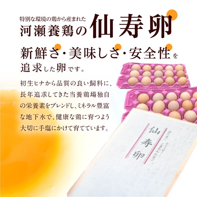 【3回便】名古屋コーチン卵・仙寿卵お試しセット（各10個入り）×3回（計各30個） [006K02-T]