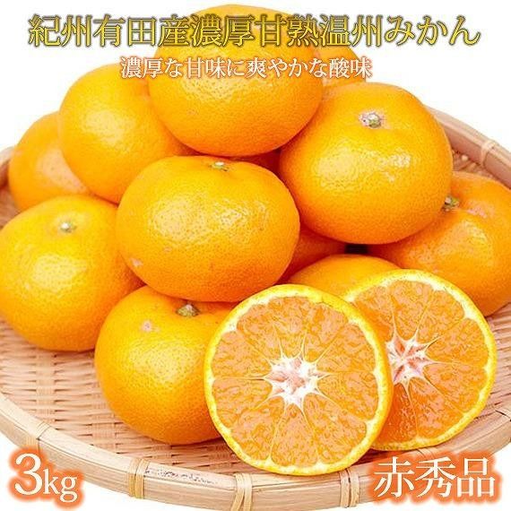 【8・9・12月 全3回】紀州産 巨峰とフルーツ定期便B（巨峰・梨・みかん） 【魚鶴商店】AN040