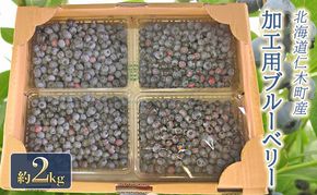 [先行受付] 農園の加工用 ブルーベリー 約2kg サイズ混載 北海道 仁木町産 果物 果物類 フルーツ 仁木 [小林信幸]