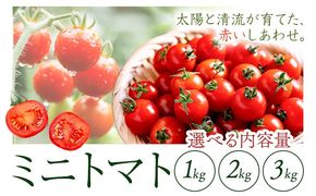 ミニトマト 約1kg 約2kg 約3kg 氷川アグリクラブ トマト 熊本《2月上旬-4月末頃出荷》熊本県 氷川町 野菜 熊本県産 サラダ プチトマト 国産---hkw_agrmt_af24_26_5000_1kg---