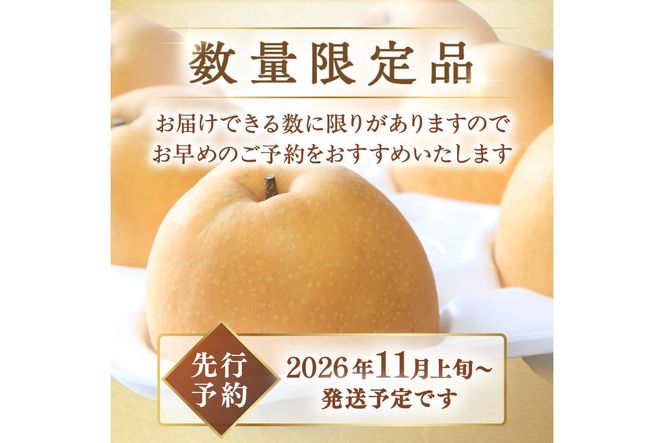 【先行予約／数量限定200】農家直送 秋の王様 「王秋」5kg（概ね7玉～12玉）（2026年11月上旬～発送）　DE00169