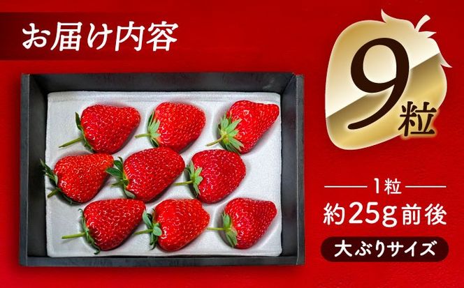 【先行予約】 ＼毎年12月より順次発送／ 紅ほっぺ 9粒 いちご 果物 フルーツ 愛西市 / くぼ苺農園 【配達不可：北海道・沖縄・離島】[AECJ008]