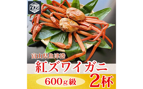 【冷蔵】自社漁船直送！魚卸問屋の紅ズワイガニ 600g級×2ハイセット ※2026年9月～発送