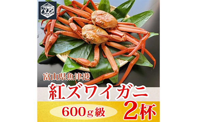 【冷蔵】自社漁船直送！魚卸問屋の紅ズワイガニ 600g級×2ハイセット ※2026年9月～発送