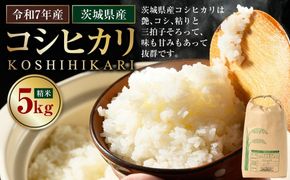 【令和7年産】茨城県産コシヒカリ 5kg 米 お米 おこめ コメ 白米 精米 ご飯 ごはん コシヒカリ こしひかり 茨城県 守谷市